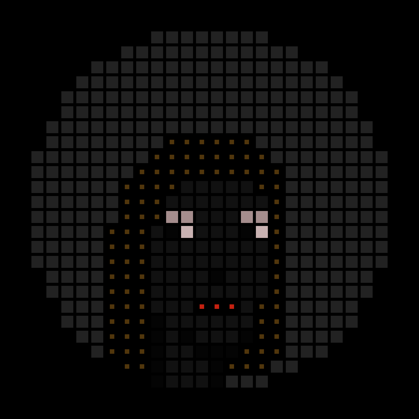 No-Based #5007