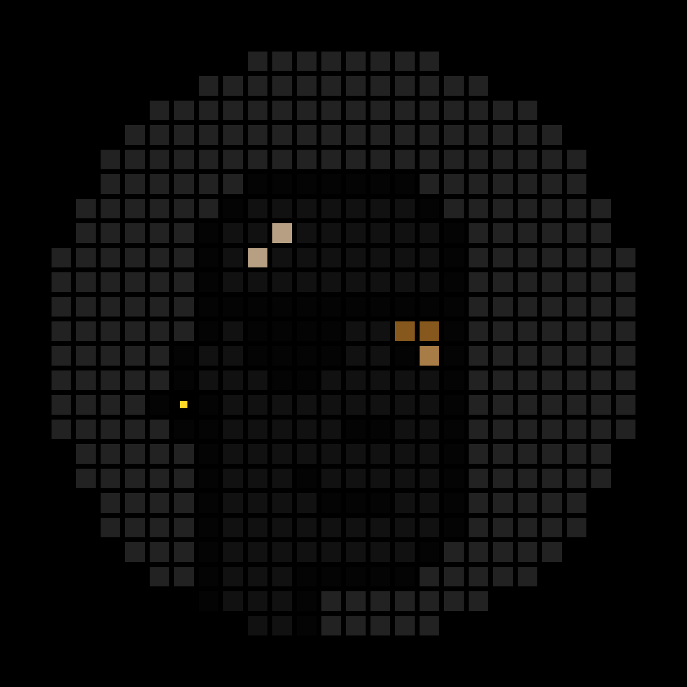 No-Based #8301