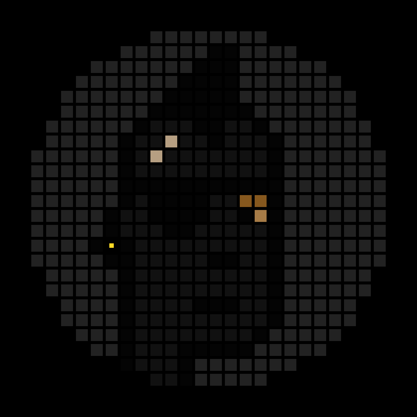No-Based #2059