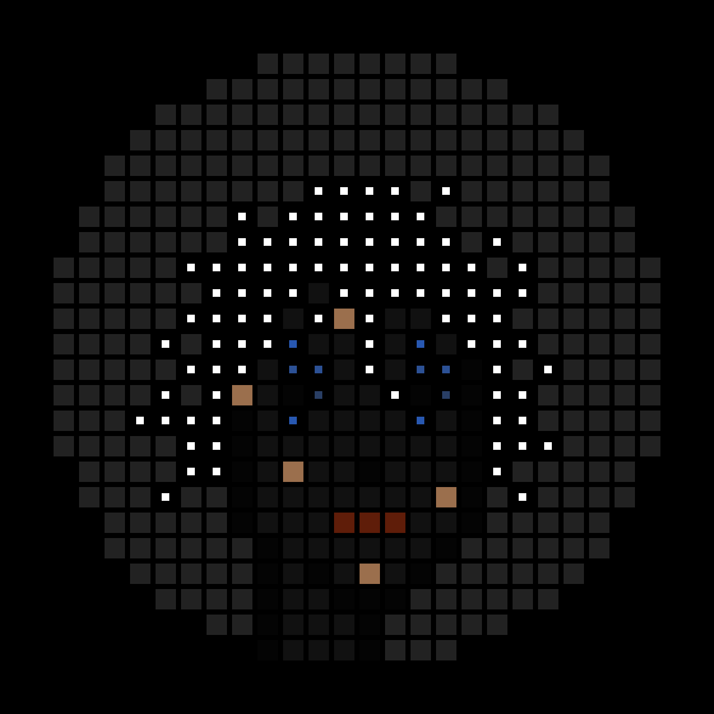 No-Based #7