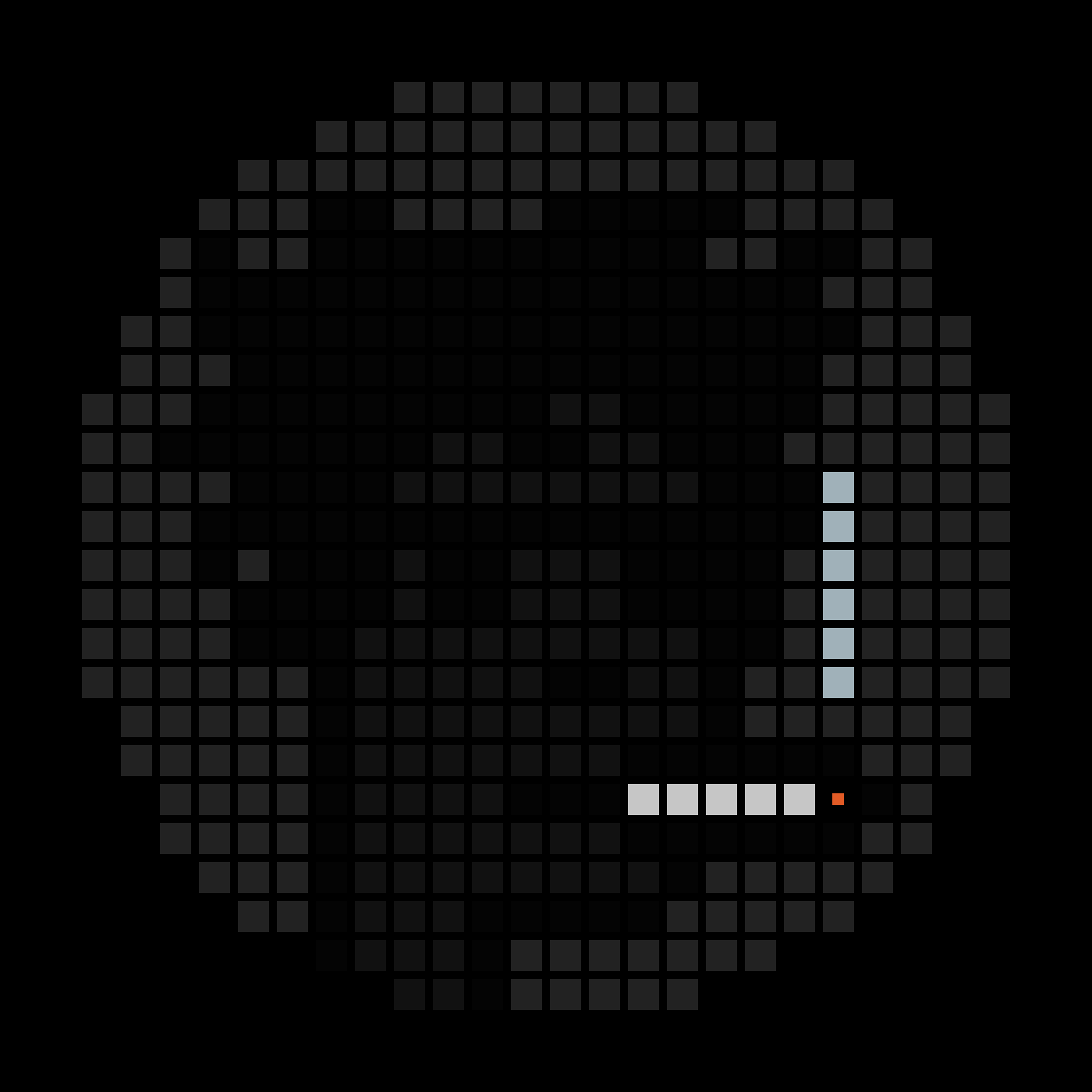 No-Based #2031